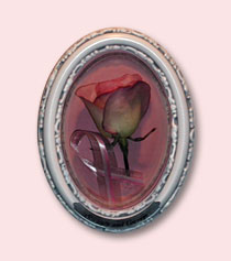 a single pink rose with pink cancer ribbon preserved and encased in small white frame