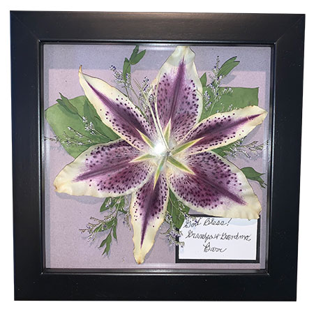 Single lily pressed and encased as a memorial tribute