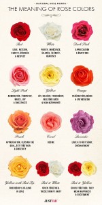 Meaning of Roses photo