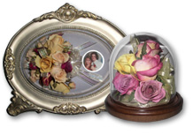 small frame and table dome with preserved roses