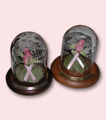 two small matching table dome keepsakes each with a single preserved pink rose and pink cancer ribbon