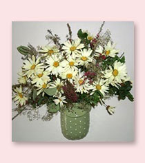 free standing preserved daisies