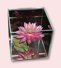 glass box with pink flower preservation