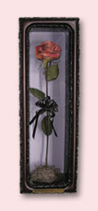 preserved rose decor